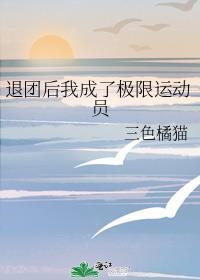 退圈后成为运动员的