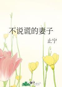 不说慌的妻子