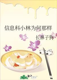 信息科小林为何那样晋江
