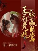 王府小媳妇